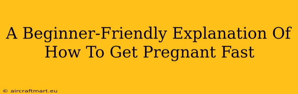 A Beginner-Friendly Explanation Of How To Get Pregnant Fast