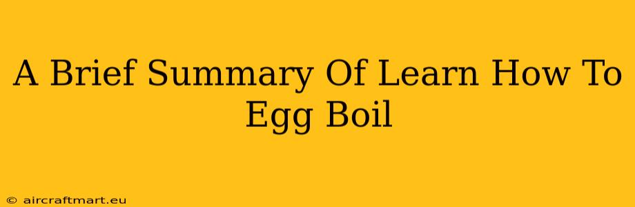 A Brief Summary Of Learn How To Egg Boil