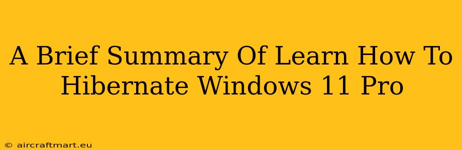 A Brief Summary Of Learn How To Hibernate Windows 11 Pro