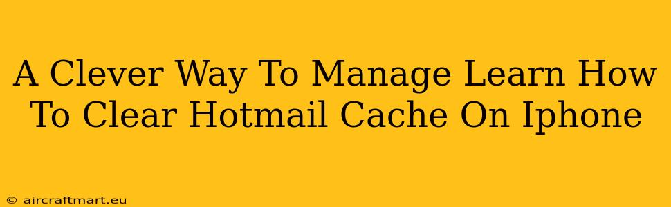 A Clever Way To Manage Learn How To Clear Hotmail Cache On Iphone