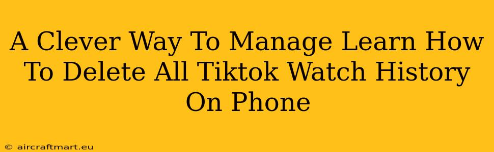 A Clever Way To Manage Learn How To Delete All Tiktok Watch History On Phone