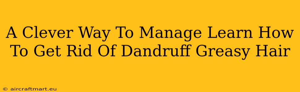 A Clever Way To Manage Learn How To Get Rid Of Dandruff Greasy Hair