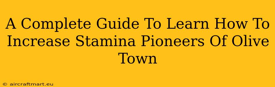 A Complete Guide To Learn How To Increase Stamina Pioneers Of Olive Town