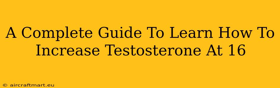 A Complete Guide To Learn How To Increase Testosterone At 16