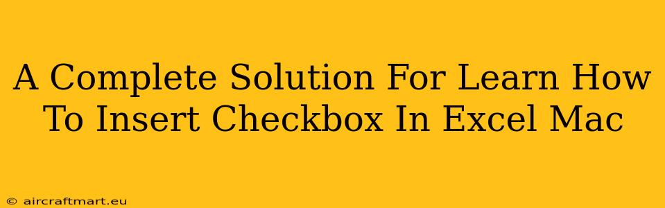 A Complete Solution For Learn How To Insert Checkbox In Excel Mac