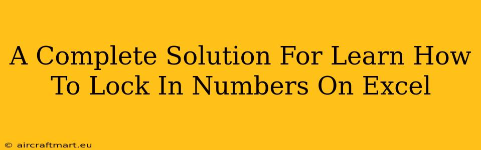 A Complete Solution For Learn How To Lock In Numbers On Excel