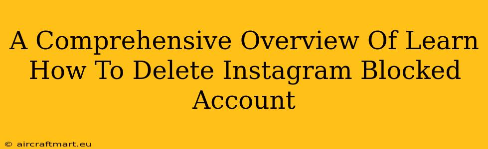 A Comprehensive Overview Of Learn How To Delete Instagram Blocked Account