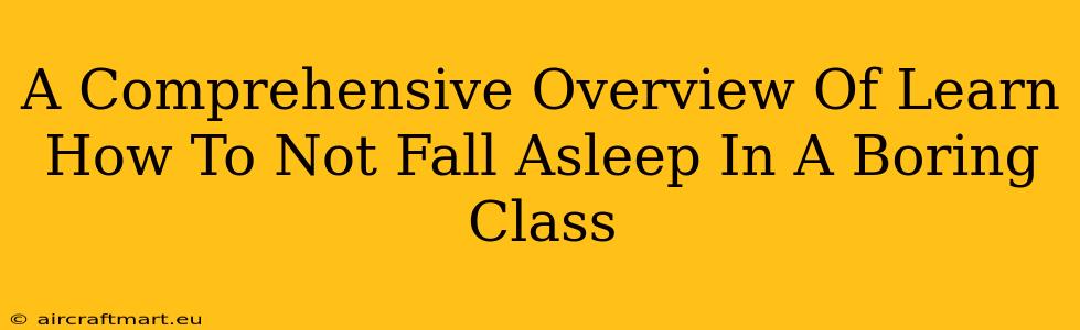 A Comprehensive Overview Of Learn How To Not Fall Asleep In A Boring Class