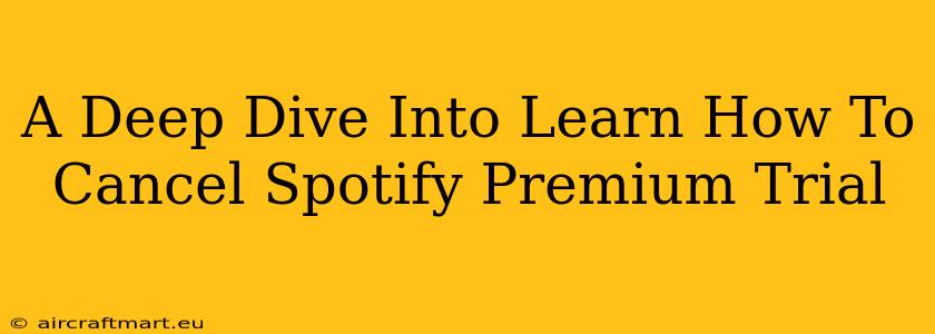 A Deep Dive Into Learn How To Cancel Spotify Premium Trial