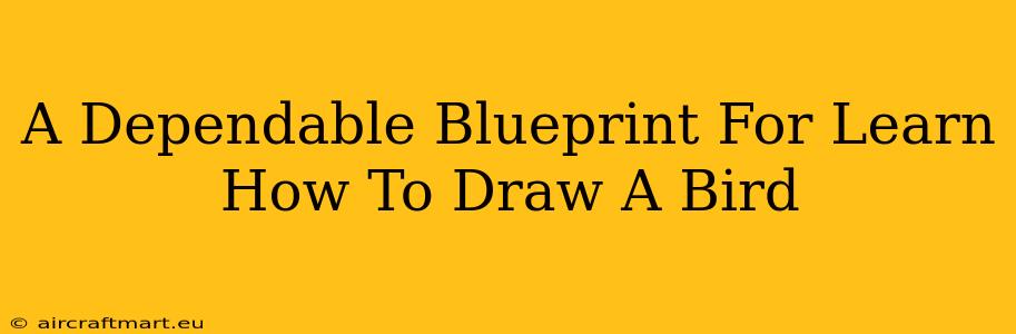 A Dependable Blueprint For Learn How To Draw A Bird