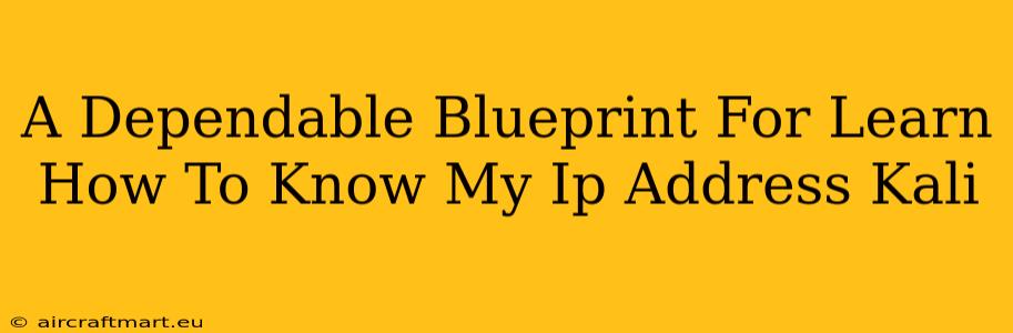 A Dependable Blueprint For Learn How To Know My Ip Address Kali