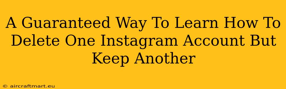 A Guaranteed Way To Learn How To Delete One Instagram Account But Keep Another