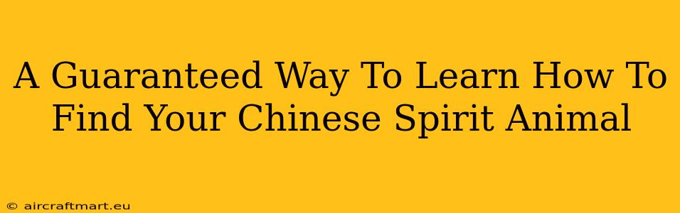 A Guaranteed Way To Learn How To Find Your Chinese Spirit Animal