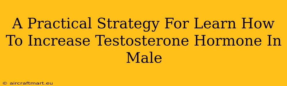 A Practical Strategy For Learn How To Increase Testosterone Hormone In Male