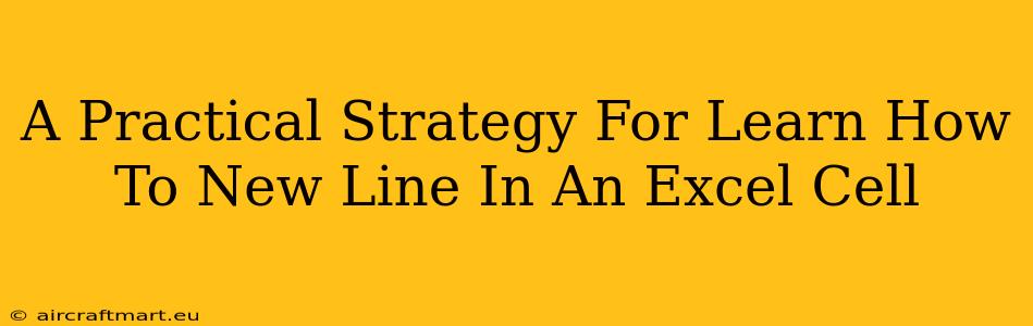 A Practical Strategy For Learn How To New Line In An Excel Cell