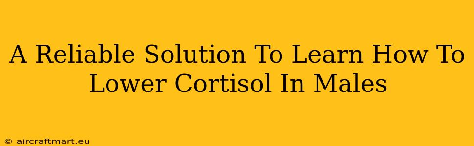 A Reliable Solution To Learn How To Lower Cortisol In Males