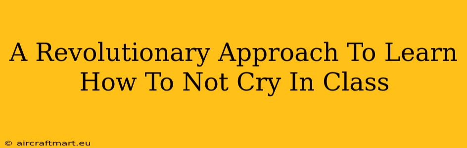 A Revolutionary Approach To Learn How To Not Cry In Class