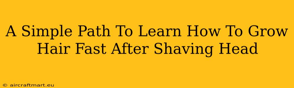 A Simple Path To Learn How To Grow Hair Fast After Shaving Head