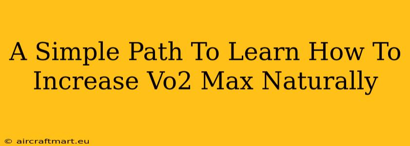 A Simple Path To Learn How To Increase Vo2 Max Naturally