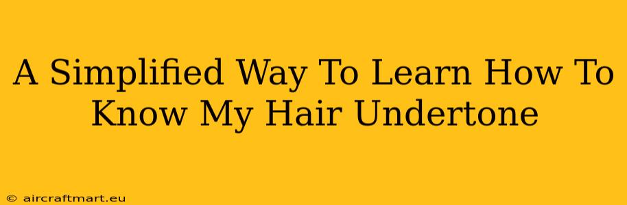 A Simplified Way To Learn How To Know My Hair Undertone