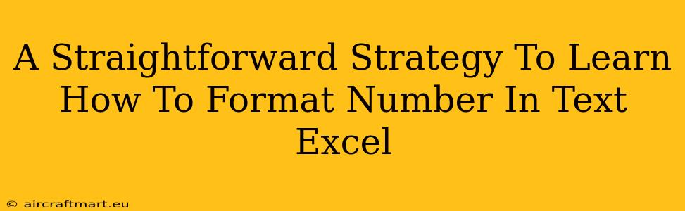 A Straightforward Strategy To Learn How To Format Number In Text Excel