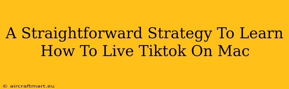 A Straightforward Strategy To Learn How To Live Tiktok On Mac