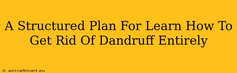 A Structured Plan For Learn How To Get Rid Of Dandruff Entirely