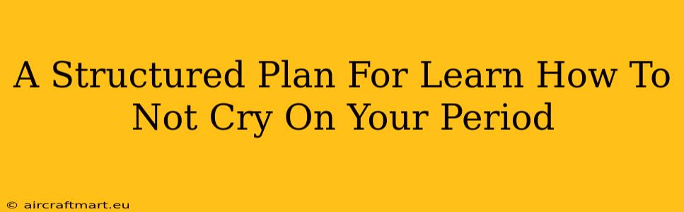 A Structured Plan For Learn How To Not Cry On Your Period