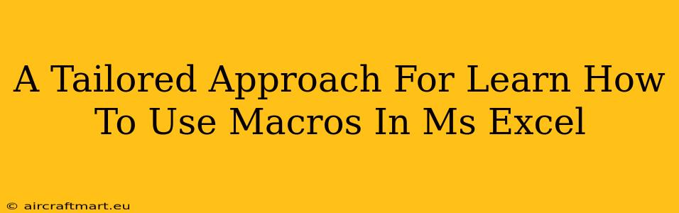 A Tailored Approach For Learn How To Use Macros In Ms Excel