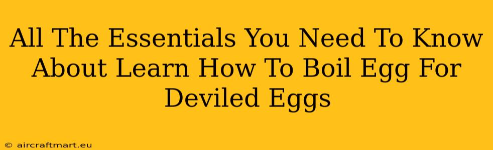 All The Essentials You Need To Know About Learn How To Boil Egg For Deviled Eggs