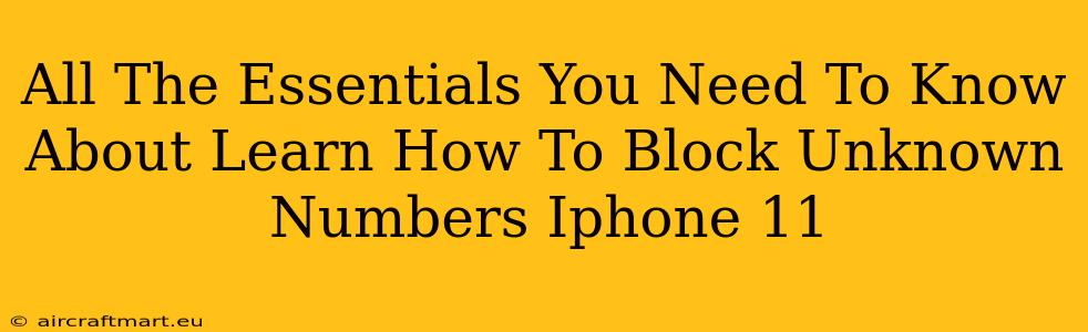 All The Essentials You Need To Know About Learn How To Block Unknown Numbers Iphone 11