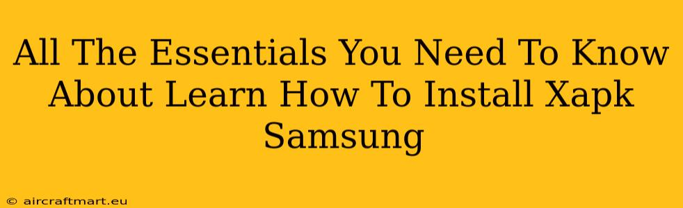 All The Essentials You Need To Know About Learn How To Install Xapk Samsung