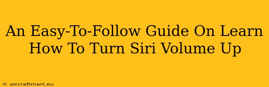 An Easy-To-Follow Guide On Learn How To Turn Siri Volume Up