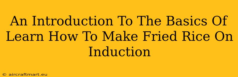 An Introduction To The Basics Of Learn How To Make Fried Rice On Induction