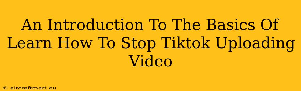 An Introduction To The Basics Of Learn How To Stop Tiktok Uploading Video