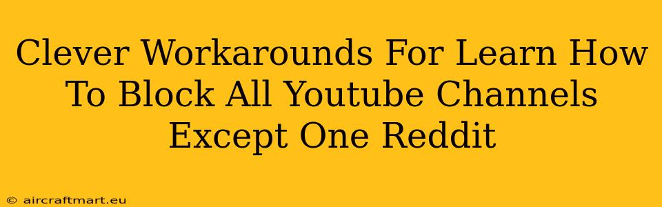 Clever Workarounds For Learn How To Block All Youtube Channels Except One Reddit