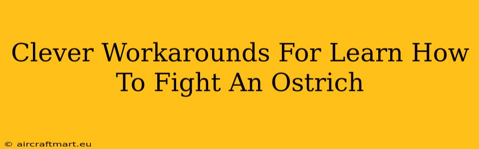 Clever Workarounds For Learn How To Fight An Ostrich