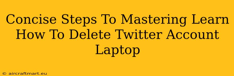 Concise Steps To Mastering Learn How To Delete Twitter Account Laptop