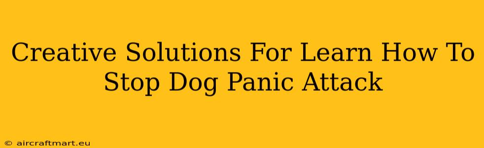 Creative Solutions For Learn How To Stop Dog Panic Attack