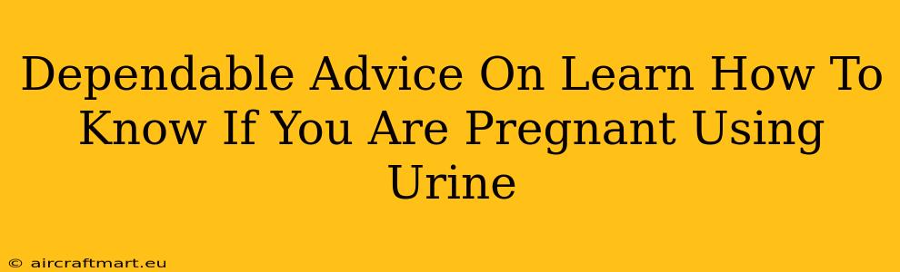 Dependable Advice On Learn How To Know If You Are Pregnant Using Urine