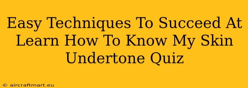 Easy Techniques To Succeed At Learn How To Know My Skin Undertone Quiz