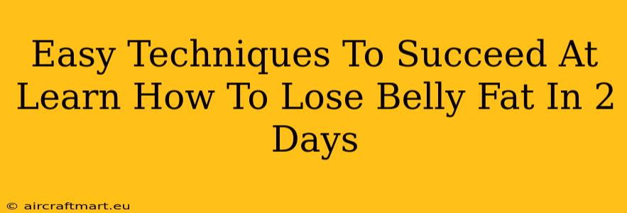 Easy Techniques To Succeed At Learn How To Lose Belly Fat In 2 Days