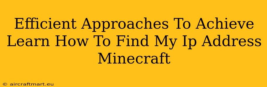 Efficient Approaches To Achieve Learn How To Find My Ip Address Minecraft