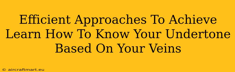 Efficient Approaches To Achieve Learn How To Know Your Undertone Based On Your Veins