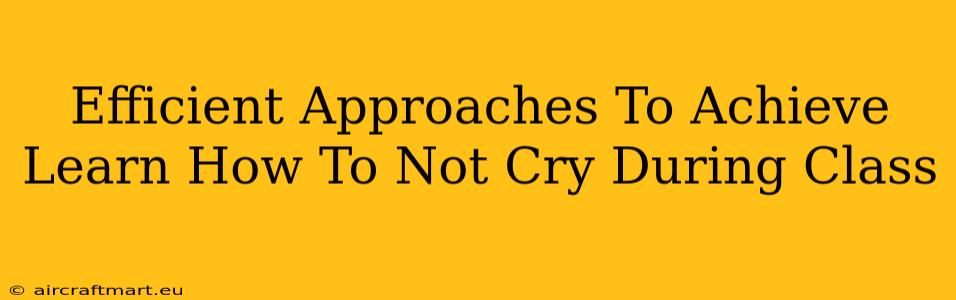 Efficient Approaches To Achieve Learn How To Not Cry During Class