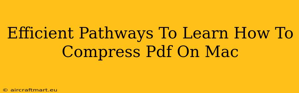 Efficient Pathways To Learn How To Compress Pdf On Mac