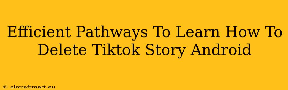 Efficient Pathways To Learn How To Delete Tiktok Story Android