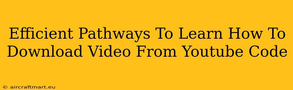 Efficient Pathways To Learn How To Download Video From Youtube Code