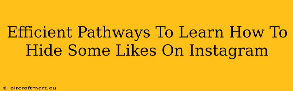 Efficient Pathways To Learn How To Hide Some Likes On Instagram