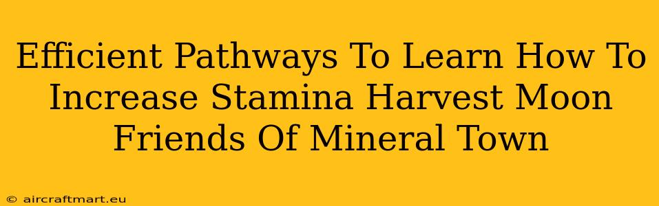 Efficient Pathways To Learn How To Increase Stamina Harvest Moon Friends Of Mineral Town